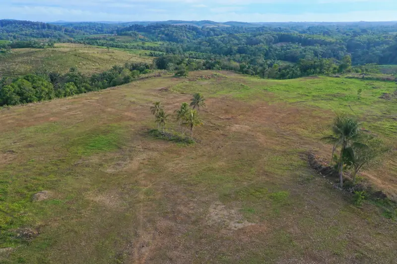 Land plot for property development